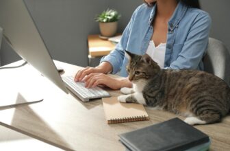 Can Cats in the Office Help Lower Employee Stress Levels? The Fascinating Answer!